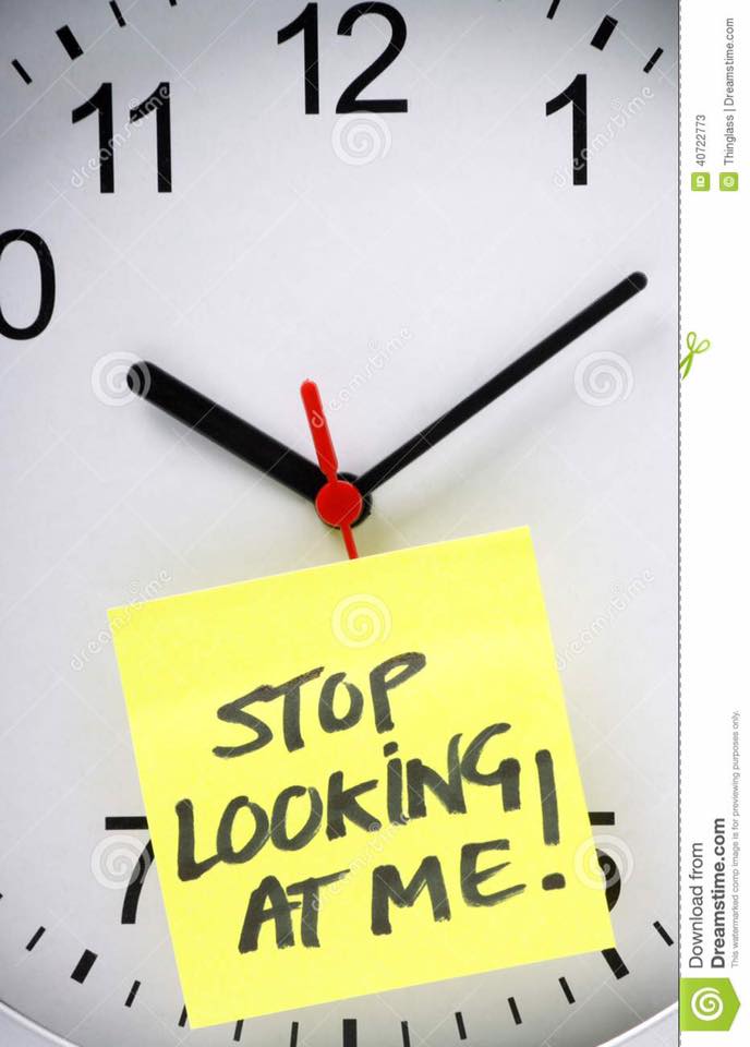 15439730_10210835679830065_2749225235131275135_n